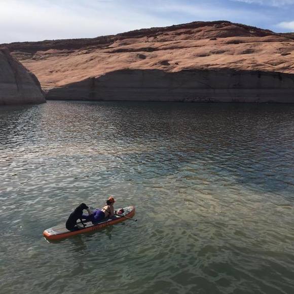 Meet your Posher, Lauren - Picture 1 of 1